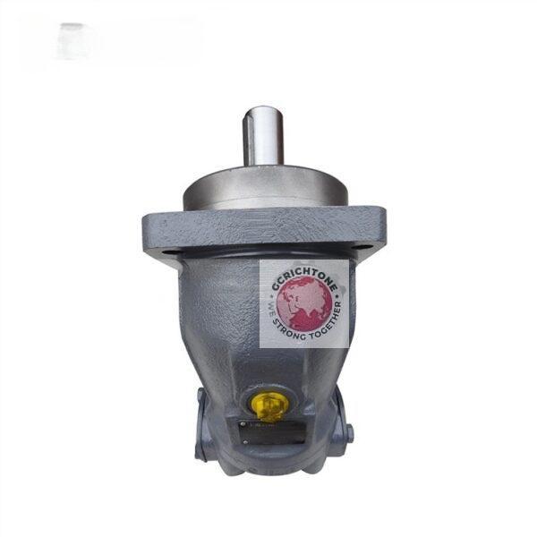 Rexroth axial piston motor A2FM5 A2FM10 A2FM200 A2FM255 A2FM1000