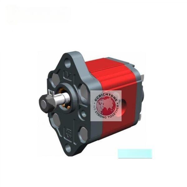 Vivoli pump XV-0P/0.17 XV-0P/0.25 XV-0P/0.45 XV-0P/0.57 XV-0P/0.76 XV-0P/0.98 XV-0P/1.27 XV-0P/1.52 XV-0P/2.30 XV-1P/0.9 XV-1P/1.2 XV-1P/1.7 XV-1P12.2 XV-1P12.6 XV-1P/3.2 XV-1P/3.8 XV-1P14.3 XV-1P14.9 XV-1P15.9 XV-1P/6.5 XV-1P17.8 XV-1P/9.8 XV-2P14 XV-2P/6 XV-2P19 XV-2P/11 XV-2P/14 XV-2P117 XV-2P119 XV-2P122 XV-2P126 XV-2P/30 XV-2P/34 XV-2P/40 XV-3P/15 XV-3P/18 XV-3P/21 XV-3P/27 XV-3P/32 XV-3P/38 XV-3P/43 XV-3P/47 XV-3P/51 XV-3P/54 XV-3P/61 XV-3P/64 XV-3P/70 XV-3P/74 XV-3P/90