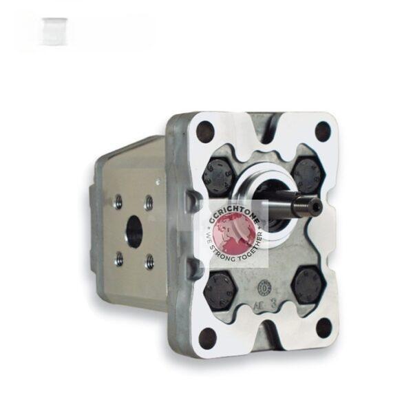 Gear Pump MARZOCCHI 1P D 1.6 I 1P D 16 KA 1P D 2 KA 1P D 2,5 KA 1P D 3,3 KA 1P D 4,2 KA 1P D 5 KA 1P D 5,8 KA 1P D 6,7 KA 1P D 7,5 KA 1P D 9,2 KA 1P D 11,5 KA